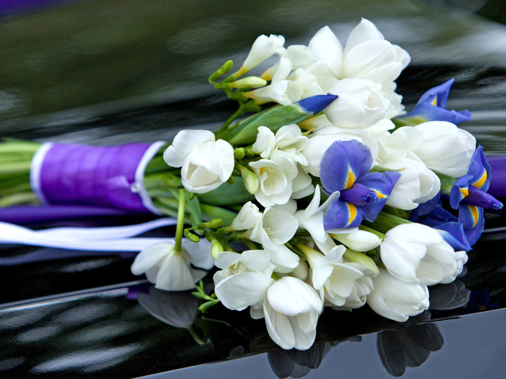 tyulpany-krokusy-iris-cvety.jpg