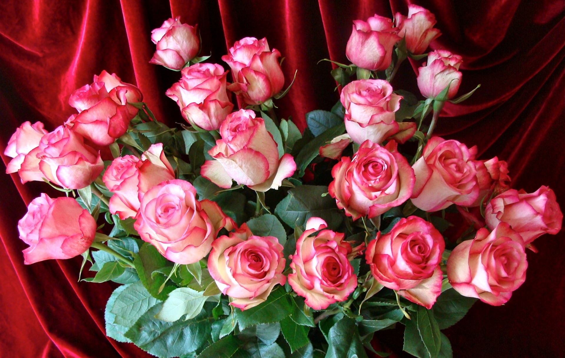 Красивые открытки с днем рождения женщине со стихами бесплатно розы