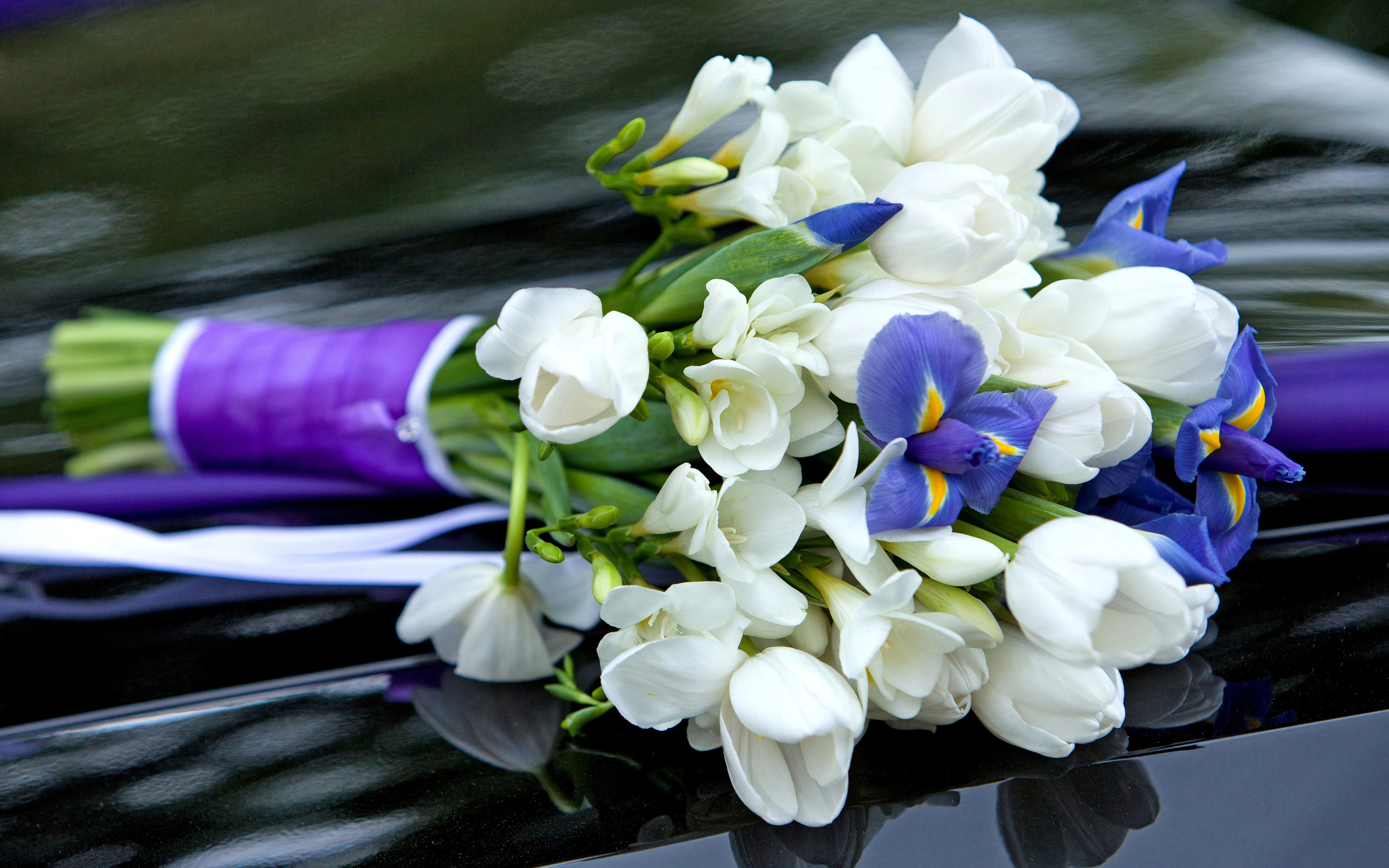 tyulpany-krokusy-iris-cvety.jpg
