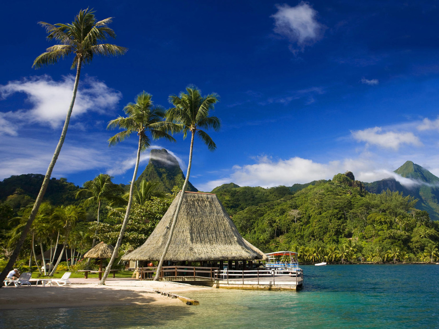 Обои для рабочего стола. пляж, тропики, пальмы, кафе, Tahiti, Муреа, tropic...