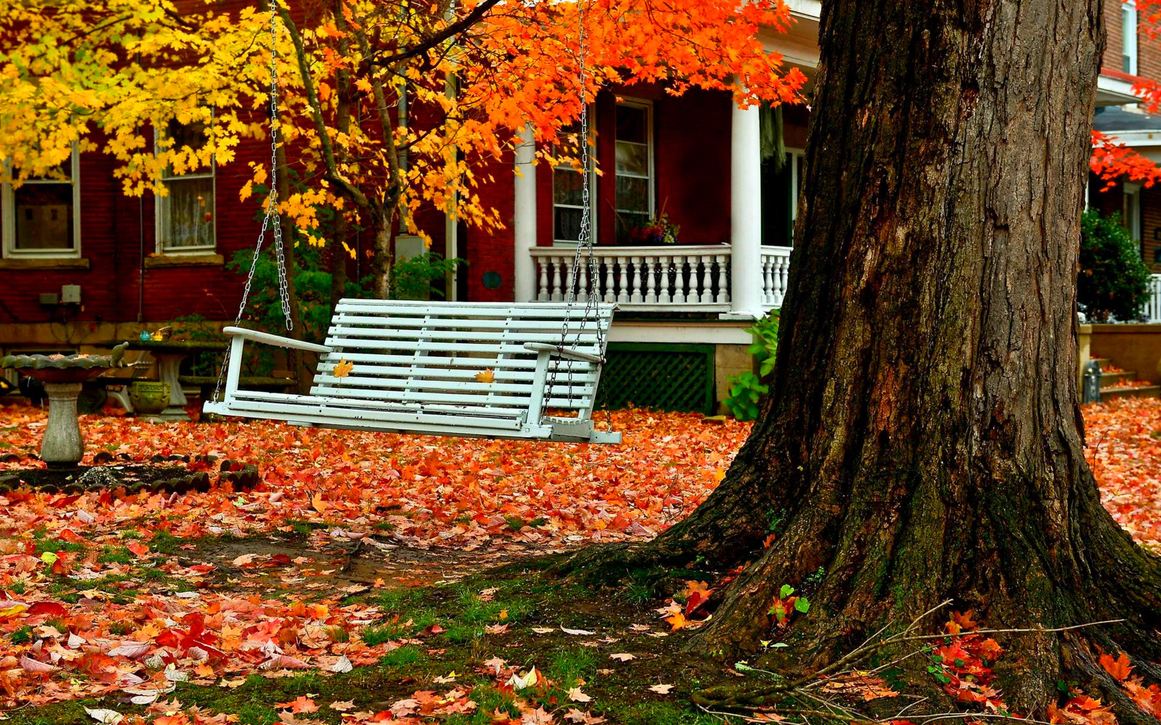 Домашние Осенние Фото