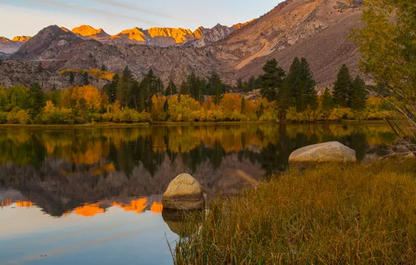 Картинка деревья, горы, озеро, отражение, камни, Калифорния, США