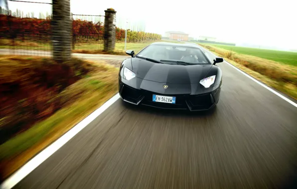 Картинка Lamborghini, supercar, black, road, speed, LP700-4, Aventador