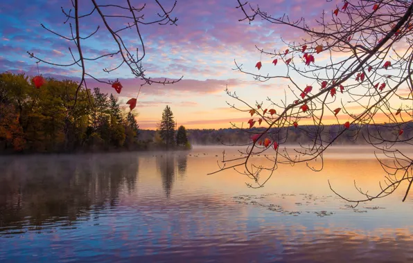 Картинка осень, лес, озеро, восход, утро