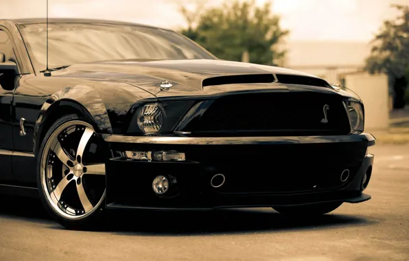 Картинка чёрный, Mustang, Ford, Shelby, GT500, мустанг, мускул кар, black, форд, шелби, muscle car