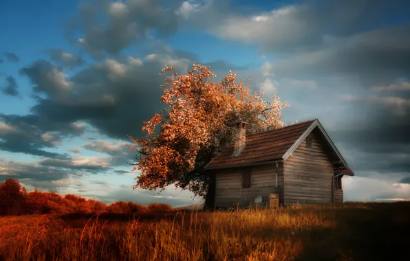 Картинка облака, дом, дерево, весна, цветение, cottage, Amir Bajrich