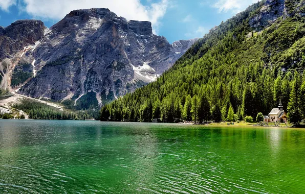 Картинка лес, деревья, пейзаж, горы, природа, озеро, Италия, Italy, Lago di Carezza