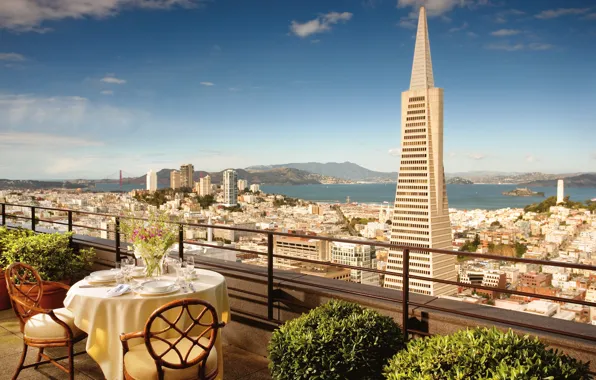 Картинка цветы, стулья, Калифорния, Сан-Франциско, балкон, USA, США, столик, California, San Francisco