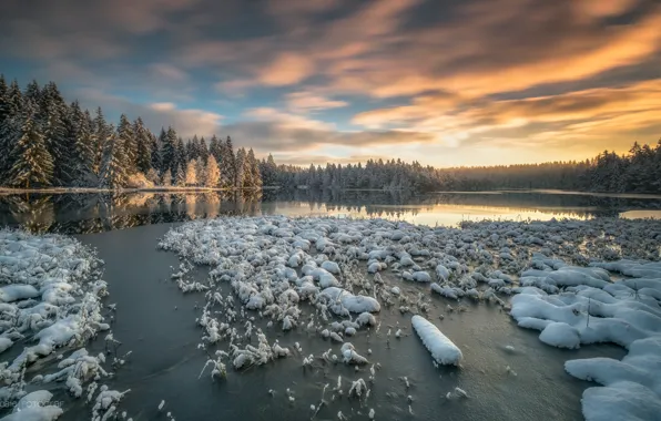 Картинка зима, лес, снег, озеро, Швейцария, Switzerland, Canton of Jura, кантон Юра