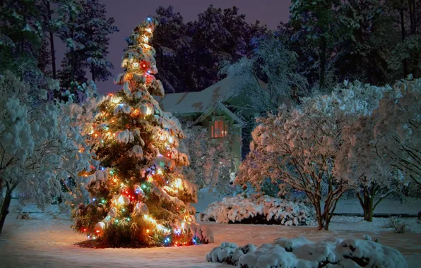 Картинка зима, снег, деревья, ночь, дом, праздник, ель, ёлка, гирлянды