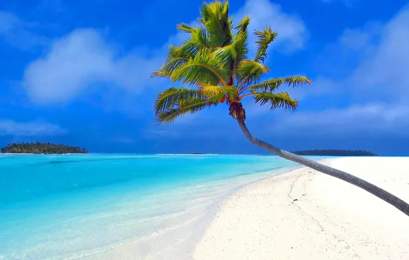 Картинка песок, море, пляж, небо, тропики, пальма, океан, остров