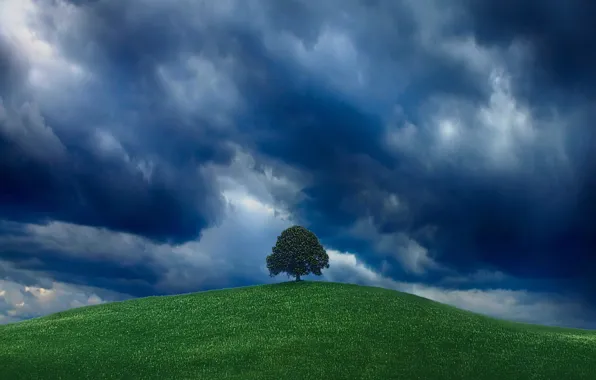 Картинка зелень, небо, дерево, холм