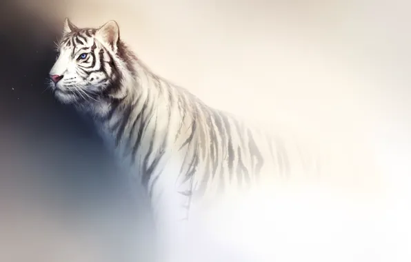 Картинка белый, свет, тигр, фон, хищник, арт, дикая кошка