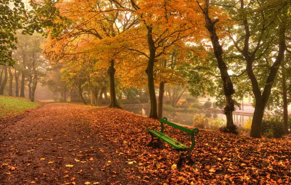 Картинка осень, листья, вода, деревья, пейзаж, скамейка, природа, река, фон, дерево, widescreen, обои, тропа, лавочка, дорожка, …