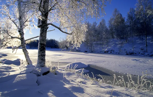 Картинка зима, лес, солнце, снег, деревья, река
