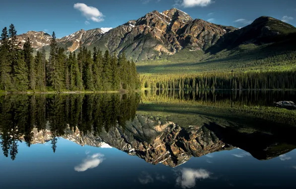 Картинка лес, небо, вода, облака, отражения, горы, озеро, Природа, зеркало, Канада, провинция Альберта, национальный парк Джаспер