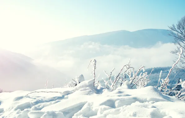 Картинка снег, деревья, горы, туман, Природа, Зима, сугробы, погода, Условия