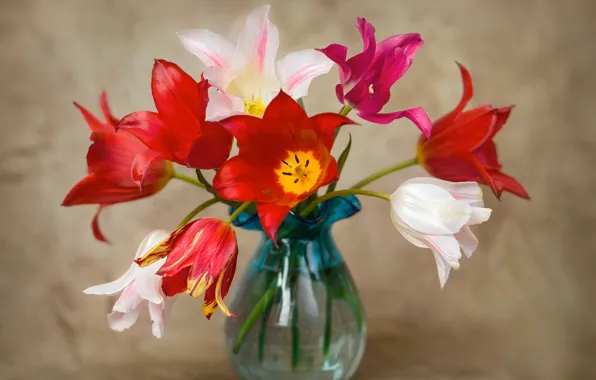 Картинка букет, тюльпаны, ваза
