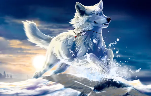 Картинка белый, солнце, снег, закат, прыжок, Волк, art, клык, be free, wolfroad