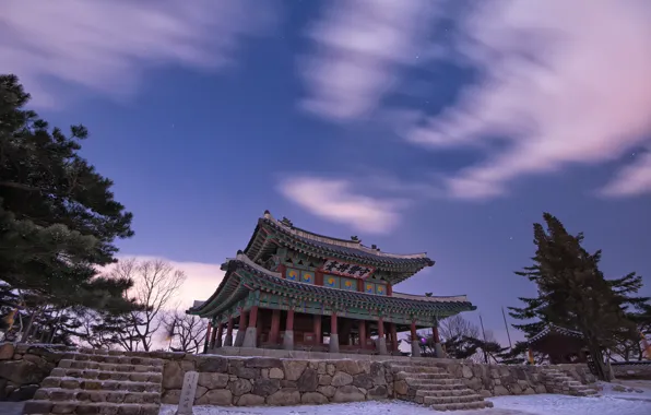 Картинка зима, небо, звезды, облака, снег, деревья, ночь, природа, Китай, пагода, архитектура, сиреневое