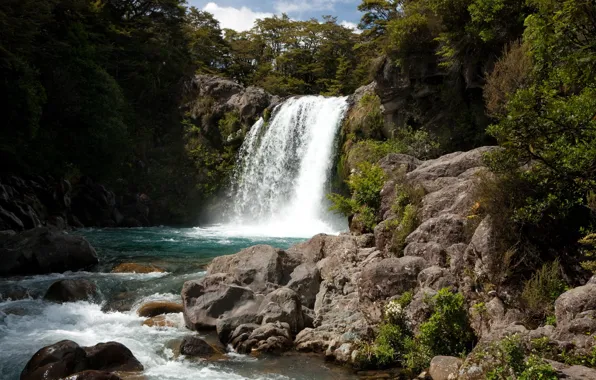 Картинка лес, река, камни, скалы, водопад, New Zealand