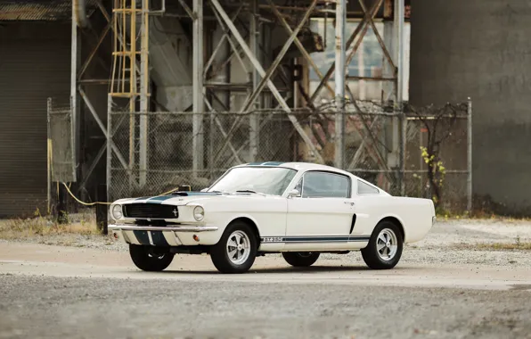 Картинка Mustang, Ford, Shelby, мустанг, форд, шелби, 1966, GT350