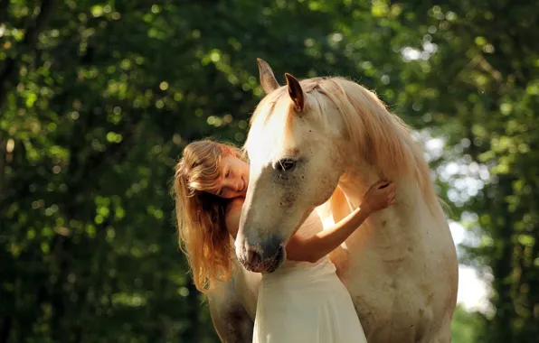 Картинка лето, девушка, настроение, конь