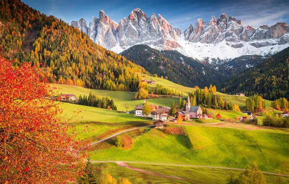 Картинка осень, лес, дерево, Альпы, Италия, церковь, деревушка, поселок