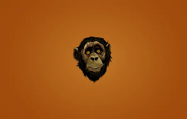 Картинка взгляд, морда, лицо, минимализм, голова, обезьяна, monkey, темноватый фон
