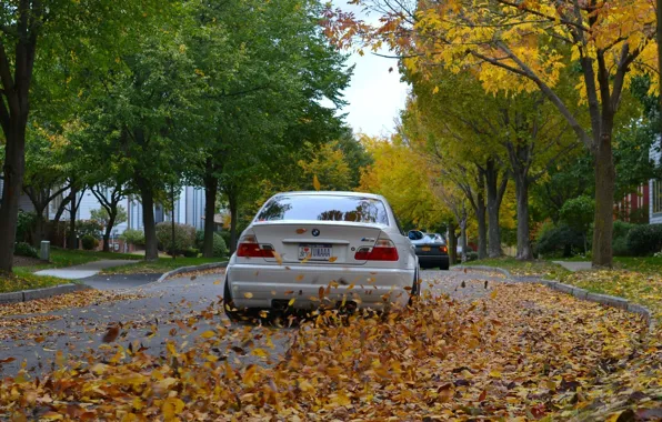 Картинка дорога, осень, листья, BMW, Белая, Coupe, E46