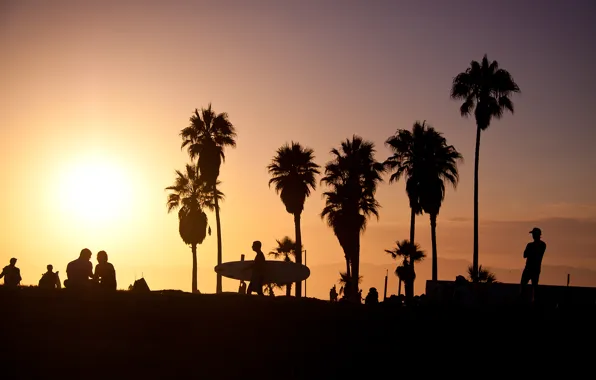 Картинка summer, california, sunset, usa, surf, los angeles, palm, vence beach
