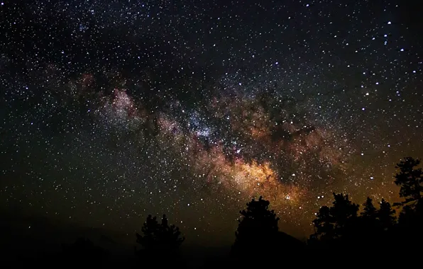 Картинка космос, звезды, деревья, ночь, пространство, тени, млечный путь