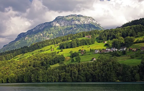 Картинка зелень, деревья, горы, озеро, дома, Швейцария, склон, Lake Lucerne