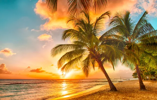 Картинка песок, море, пляж, закат, тропики, пальмы, берег, beach, sea, ocean, sunset, paradise, palms, tropical
