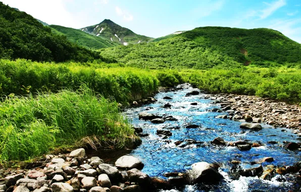 Картинка зелень, лето, горы, природа, река, ручей