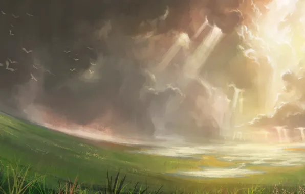Картинка поле, небо, трава, облака, птицы, рисунок, арт, лучи солнца