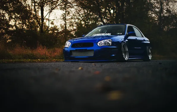 Картинка Subaru, синяя, blue, wrx, impreza, субару, sti, импреза
