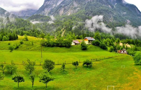 Картинка лес, трава, облака, деревья, горы, дома, Словения, Slovenia, поляна.