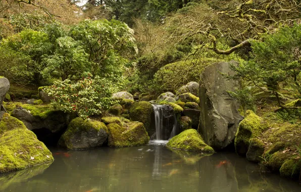 Картинка деревья, пруд, ручей, камни, водопад, мох, сад, США, кусты, Oregon, Portland, Japanese Gardens