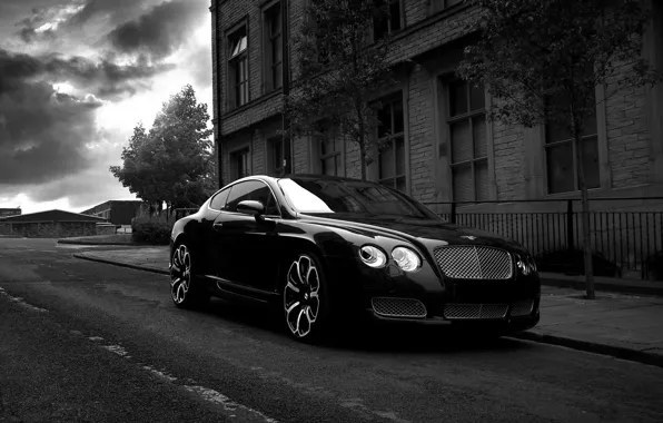 Картинка Bentley, Project Kahn, Black, GTS Black Edition, Gray & White