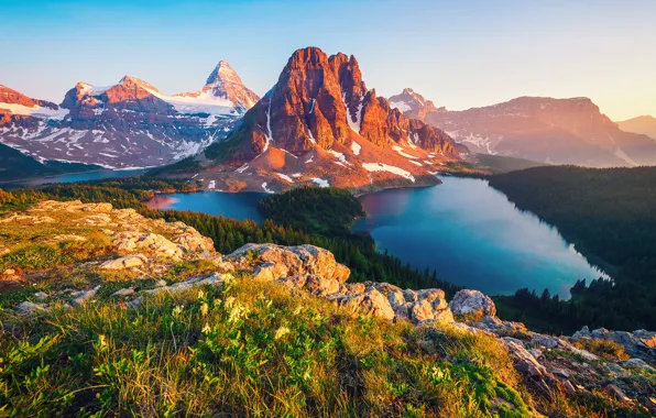 Картинка лес, горы, Канада, озёра, провинция Британская Колумбия