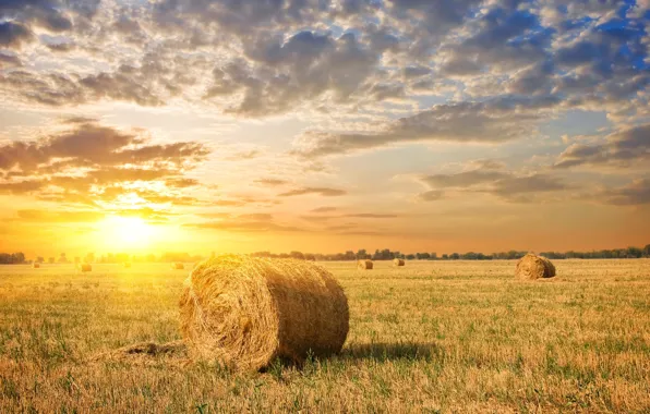 Картинка поле, небо, трава, солнце, облака, рассвет, стог, сено