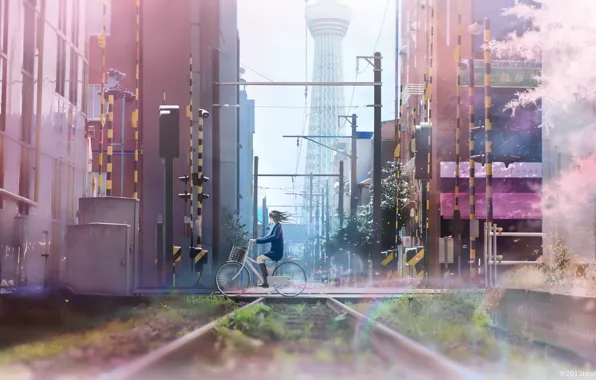 Картинка девушка, велосипед, город, провода, дома, аниме, сакура, арт, школьница, tanaka ryosuke
