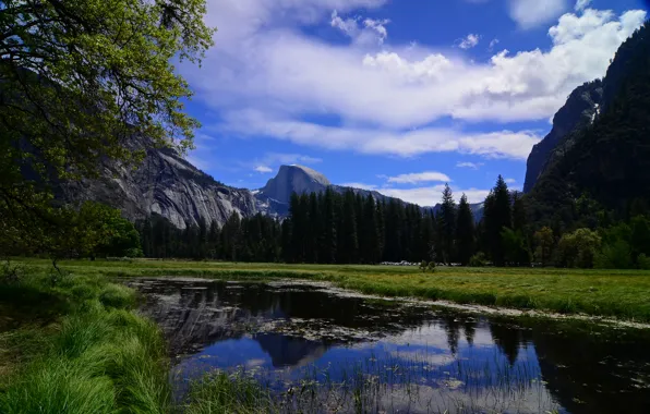 Картинка деревья, горы, река, Калифорния, Йосемити, California, Yosemite National Park