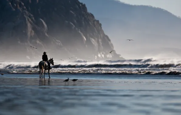 Картинка песок, море, волны, пляж, горы, природа, фон, скалы, обои, берег, побережье, лошадь, человек, чайки, всадник, …