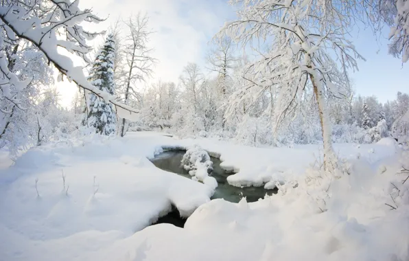 Картинка зима, лес, снег, деревья, ручей, сугробы