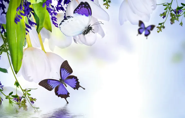Картинка вода, бабочки, отражение, весна, тюльпаны, цветение, water, blossom, flowers, tulips, spring, purple, reflection, butterflies