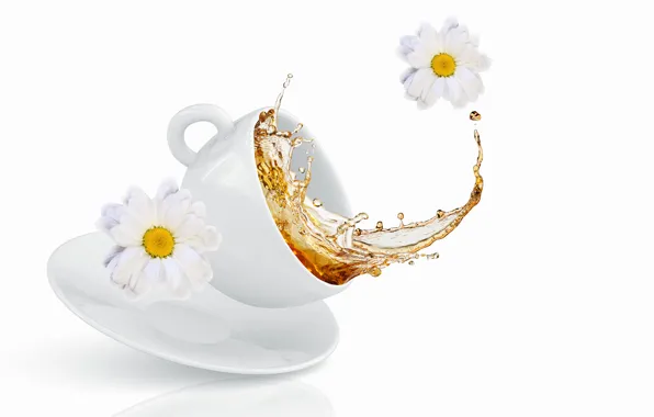 Картинка цветы, брызги, чай, чашка, хризантемы, flowers, Cup, tea, spray, chrysanthemums