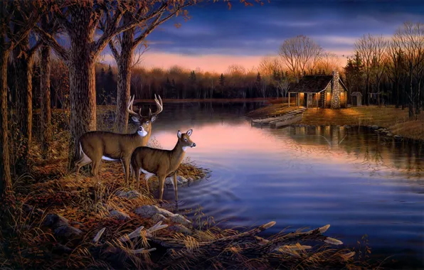 Картинка осень, лес, животные, вода, деревья, закат, природа, озеро, дом, пруд, река, лодка, вечер, живопись, олени, …