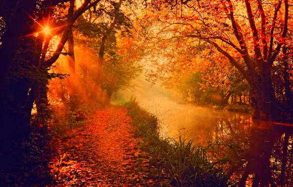 Картинка осень, лес, небо, листья, вода, деревья, горы, природа, парк, река, colors, colorful, forest, river, sky, …